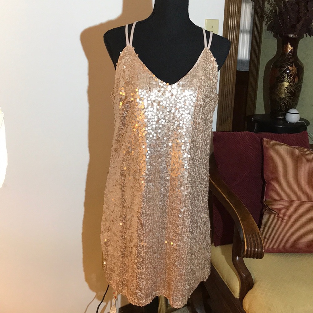 Gorgeous Sequined Dress